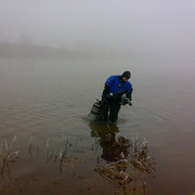 ���������� �����, ���� ������� ���������, 43 ����, ������������ 