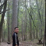 ���������� ������ ���, ���� ������� �����, 38 ���, ������������ ��� ������, ����� � ���������, c�������� ���������