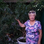 ���������� ����, ���� ������� ������, 71 ���, ������������ ��� ������, ����� � ���������, c�������� ���������