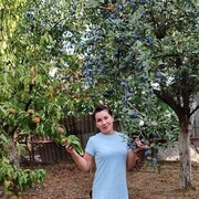  ,   , 52 ,     