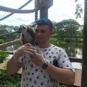 ���������� �����������, ���� ������� ������, 31 ���, ������������ ��� ������, ����� � ���������, c�������� ���������, ���������