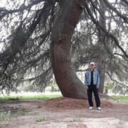 ���������� ������������, ���� ������� ���������, 52 ����, ������������ ��� ������, ����� � ���������, c�������� ���������, ���������