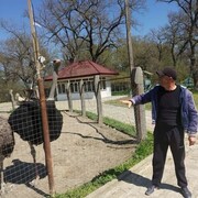  ,   , 53 ,   ,   , c , 