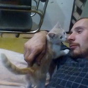  ,   , 36 ,   