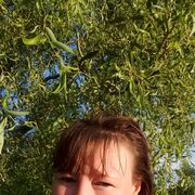 ���������� �����, ���� ������� �������, 50 ���, ������������ ��� ������, ����� � ���������