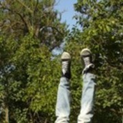 ���������� �����, ���� ������� ���������, 35 ���, ������������ ��� ������, ����� � ���������, c�������� ���������