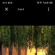 ���������� ������, ���� ������� ����������, 43 ����, ������������ ��� ����� � ���������, c�������� ���������