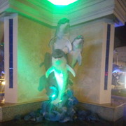 ���������� ����, ���� ������� Ali, 48 ���, ������������ ��� ������, ����� � ���������, c�������� ���������