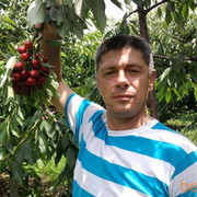  ,   Serj, 50 ,   