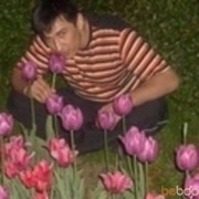 ���������� ������, ���� ������� Kodir, 44 ����, ������������ 