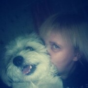 ���������� ��������, ���� ������� ����, 26 ���, ������������ ��� ������, ����� � ���������