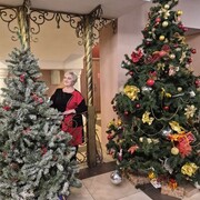 ���������� ������������, ���� ������� ������, 61 ���, ������������ ��� ������, ����� � ���������