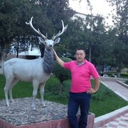  ,   Tolegen, 41 ,   ,   , c 
