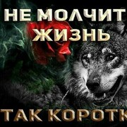 ���������� �����������-��-�����, ���� ������� �����, 41 ���, ������������ ��� c�������� ���������