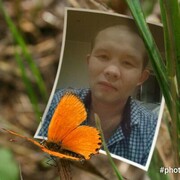 ���������� ���������, ���� ������� ����, 38 ���, ������������ ��� ������, ����� � ���������, c�������� ���������, ���������