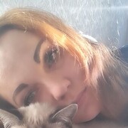  ,   , 41 ,   