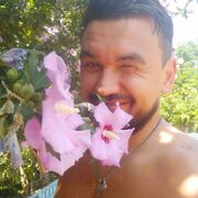 ���������� �����, ���� ������� ������, 38 ���, ������������ ��� ������, ����� � ���������