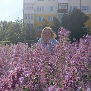 ���������� ������������, ���� ������� ���������, 43 ����, ������������ ��� ���������