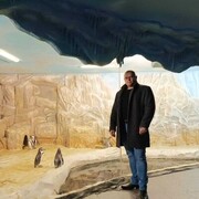 ���������� ������, ���� ������� ������, 37 ���, ������������ ��� c�������� ���������