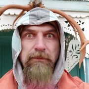 ���������� �������, ���� ������� Kot, 38 ���, ������������ ��� ������, ����� � ���������