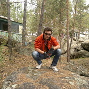  -,   , 39 ,   ,   , c 