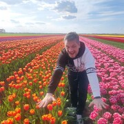 ���������� �����, ���� ������� �����, 33 ����, ������������ ��� ����� � ���������, c�������� ���������