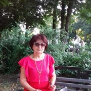 ,   , 66 ,     