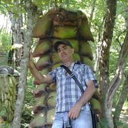  ,   , 50 ,   ,   