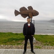  ,   B, 38 ,   ,   , c 