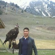  ,   , 38 ,     , c 