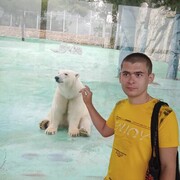  ,   , 28 ,     , c 
