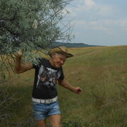  ,   Vasilii, 64 ,     , c 