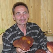  ,   , 58 ,     , c , 