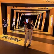 ���������� �����-���������, ���� ������� ������, 19 ���, ������������ ��� ������, ����� � ���������