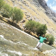  ,   Avaz, 36 ,   ,   , c , 