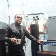 ���������� ����, ���� ������� ����, 43 ����, ������������ ��� ������, ����� � ���������, c�������� ���������