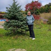 ���������� �����, �����