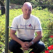  -,  , 55