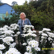  ,   , 65 ,   ,   , c 