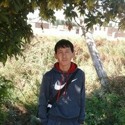  ,  Saken, 38
