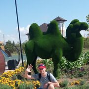 ���������� �����������, ���� ������� ����, 33 ����, ������������ ��� ������, ����� � ���������