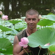 ���������� �����������, ���� ������� ��������, 46 ���, ������������ ��� ������, ����� � ���������, c�������� ���������