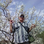  ,   , 55 ,   ,   , c 