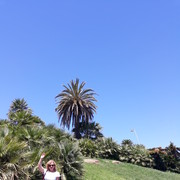 ���������� �����, ���� ������� �����, 63 ����, ������������ 