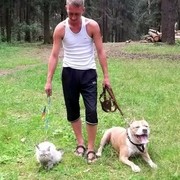 ���������� �����, ���� ������� ������, 39 ���, ������������ ��� ������, ����� � ���������, c�������� ���������