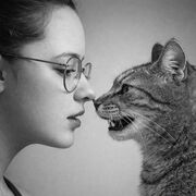 ���������� ������, �����