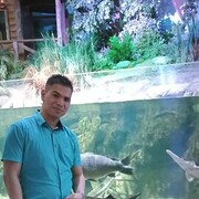  ,   Yorjany, 31 ,   ,   