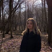 ���������� �����, ����