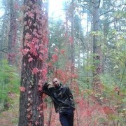 ���������� ������, ���� ������� ��������, 37 ���, ������������ ��� ������