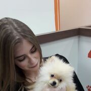 ���������� ������, ���� ������� Yayo, 23 ����, ������������ ��� ������, ����� � ���������